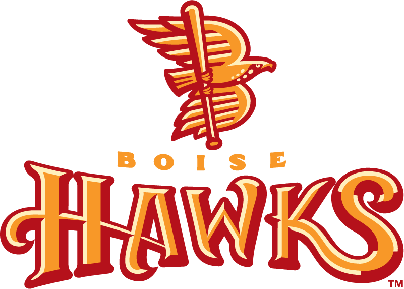 Boise Hawks 2007-2010 Primary Logo iron on transfers for T-shirts